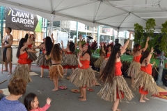 DSC_0294_1024x768 DSC_0294_1024x768