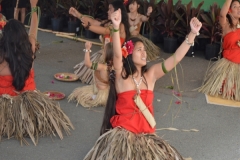 DSC_0300_1024x768