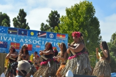 DSC_0330_1024x768