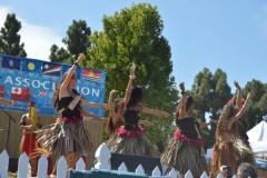 DSC_0420_1024x768 DSC_0420_1024x768