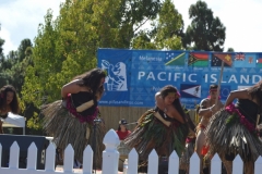 DSC_0456_1024x768 DSC_0456_1024x768