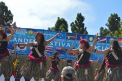 DSC_0471_1024x768 DSC_0471_1024x768