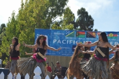 DSC_0498_1024x768 DSC_0498_1024x768