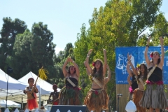 DSC_0576_1024x768