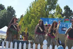 DSC_0662_1024x768