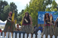 DSC_0701_1024x768