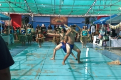 IMG_4390_1024x768 IMG_4390_1024x768