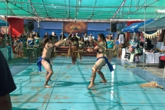 IMG_4394_1024x768 IMG_4394_1024x768