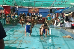 IMG_4395_1024x768 IMG_4395_1024x768