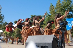IMG_8903_-_Copy