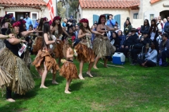 DSC_0100_1024x768