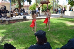 DSC_0138_1024x768