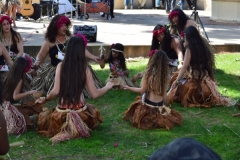 DSC_0153_1024x768 DSC_0153_1024x768