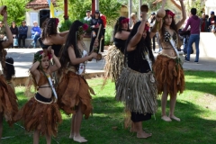 DSC_0156_1024x768 DSC_0156_1024x768