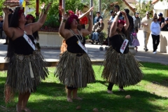 DSC_0169_1024x768
