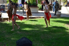 DSC_0173_1024x768