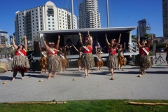 DSC05249