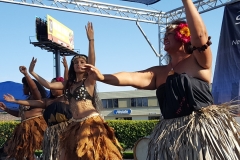 20170625_171520 20170625_171520