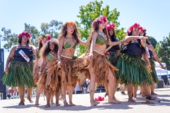 22256692_10212331109087545_3875959878720829356_o