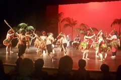 2019-03-20-22.07.28-1