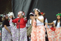 DSC_0250-1024x768