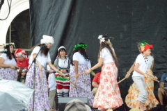 DSC_0323-1024x768