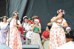 DSC_0442-1024x768