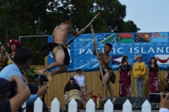 DSC_0253