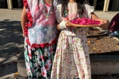 IMG_0458 IMG_0458