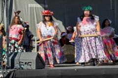IMG_0507 IMG_0507