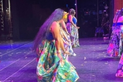 IMG_4169 IMG_4169
