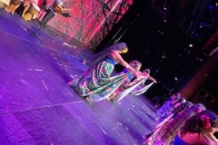 IMG_4175 IMG_4175