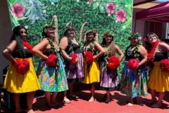2024-Aug-8-Group-Hawaiian- 2024-Aug-8-Group-Hawaiian-