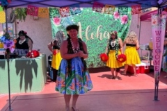 IMG_1231 IMG_1231
