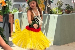 IMG_3717 IMG_3717