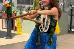IMG_3741 IMG_3741