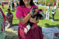 d299646c-3d8b-4f63-8a23-70bc5ad2c9c9