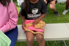 f00fe721-6e71-42e1-8572-0a201360f7cc