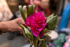 IMG_0293 IMG_0293