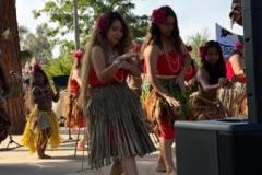 IMG_8686 IMG_8686