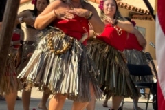 IMG_8710 IMG_8710