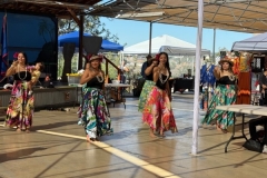 IMG_8764 IMG_8764