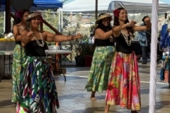 IMG_8776 IMG_8776
