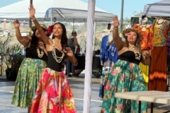 IMG_8789 IMG_8789