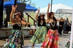 IMG_8790 IMG_8790