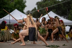 461338083_2091103594638435_7523691156262301949_n