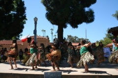 IMG_7430-2 IMG_7430-2