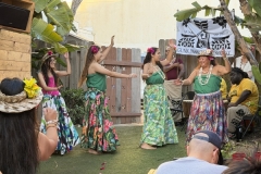 IMG_6735 IMG_6735