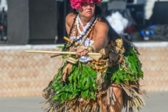 IMG_2939 IMG_2939