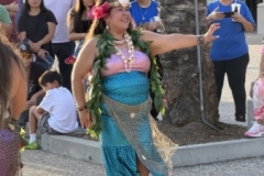 IMG_9543 IMG_9543